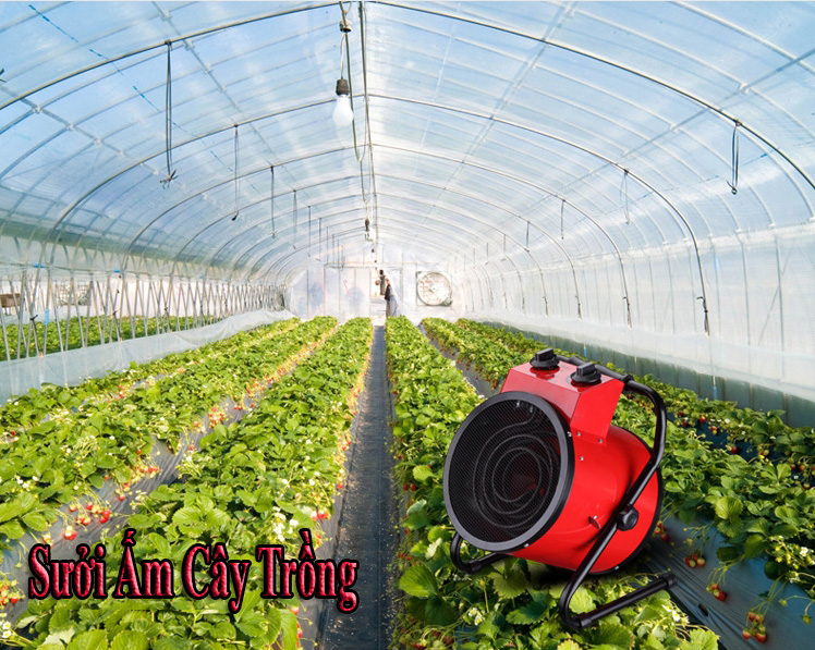 sưởi ấm nhà màng trồng cây công nghệ cao